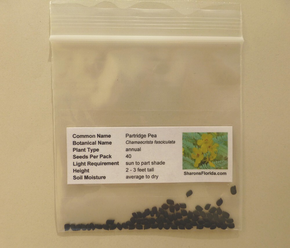 Partridge Pea Seeds (Chamaecrista fasciculata) ✤ Organic 40 Seeds
