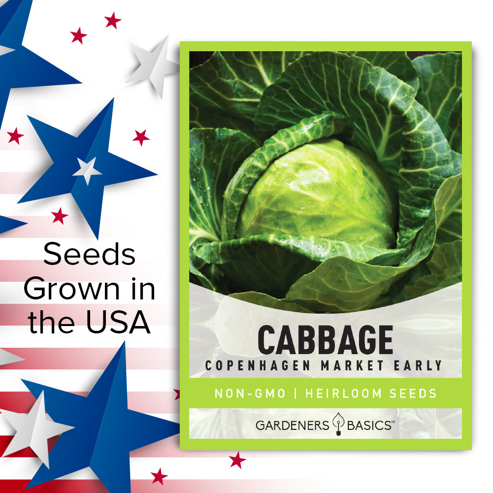 Copenhagen Market Early Cabbage Seeds