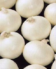 Onion Crystal Wax (Pearl White) 2,500 seeds