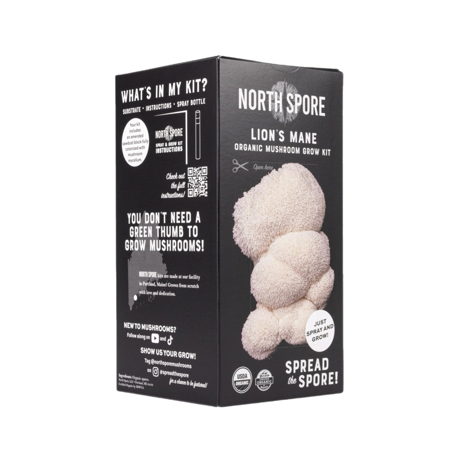 Organic Lion’s Mane Mushroom Spray & Grow Kit (4 lbs) | USDA-Certified Organi…