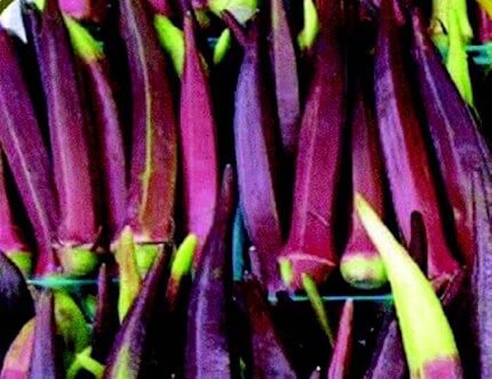 100+ Organic Red Burgundy Okra Seeds| Đậu Bắp , 2024 Season