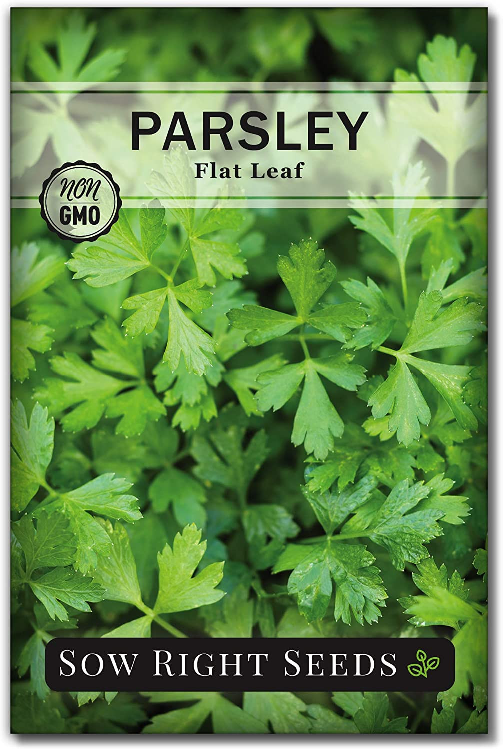 – Flat and Curly Leaf Parsley Seed Collection for Planting – Non-Gmo Heirloom Pa