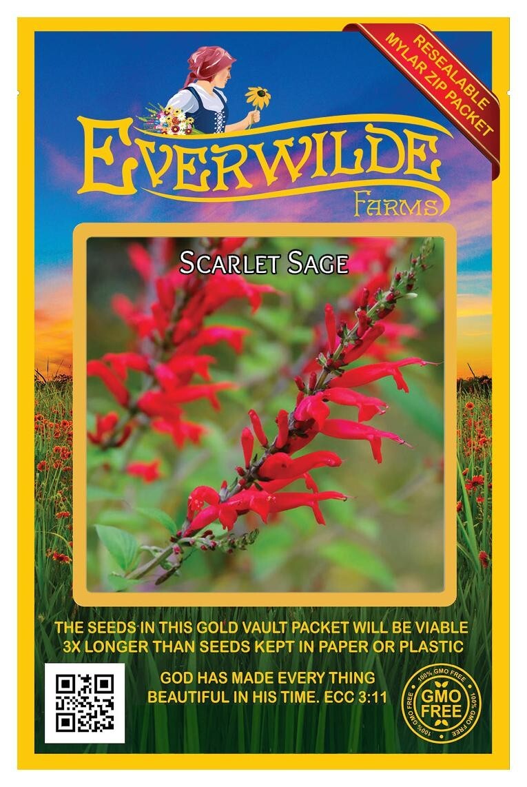 1000 Scarlet Sage Wildflower Seeds – Everwilde Farms Mylar Seed Packet