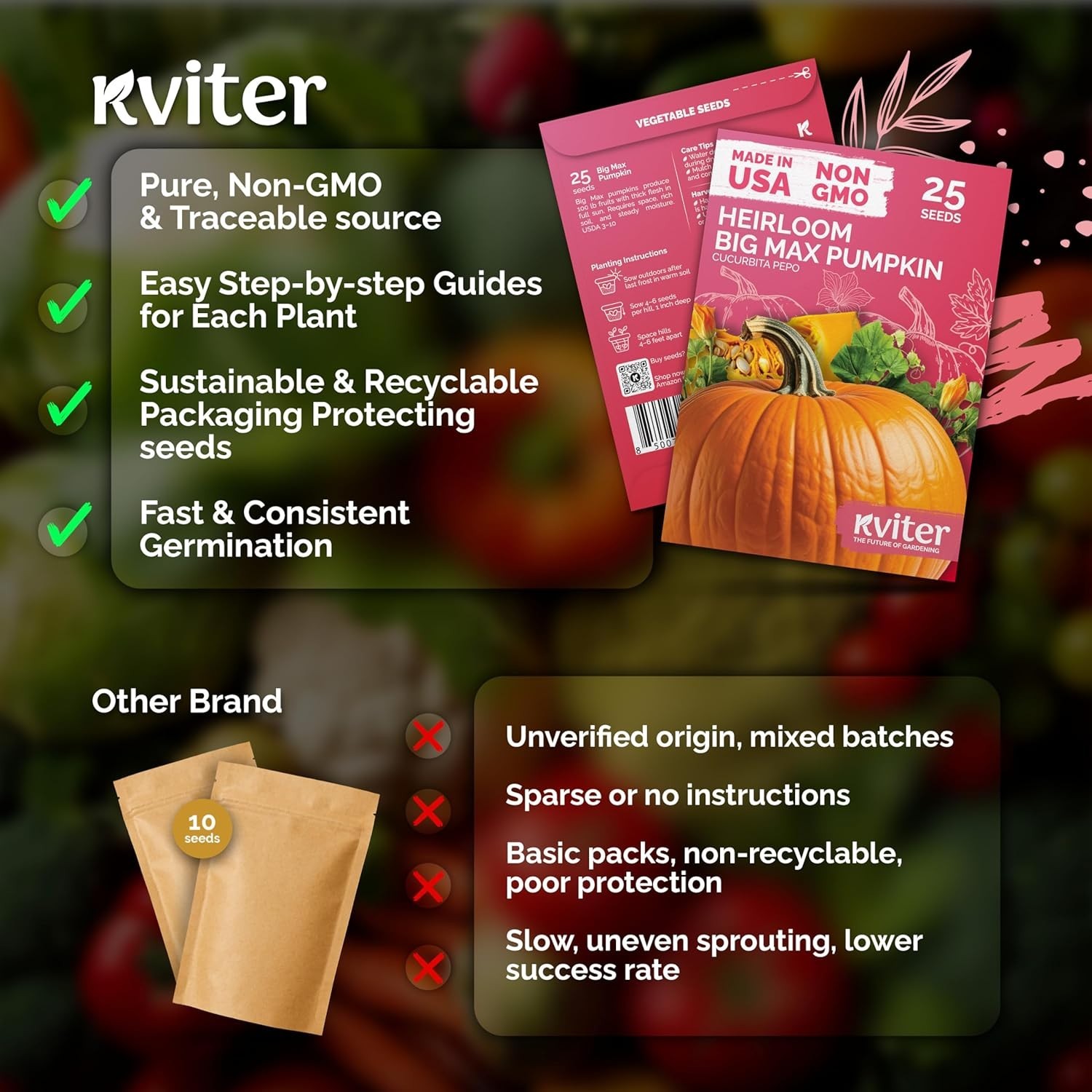 Grow 100 lbs with 25 Big Max Pumpkin Seeds – High Yield & Disease Resistant!