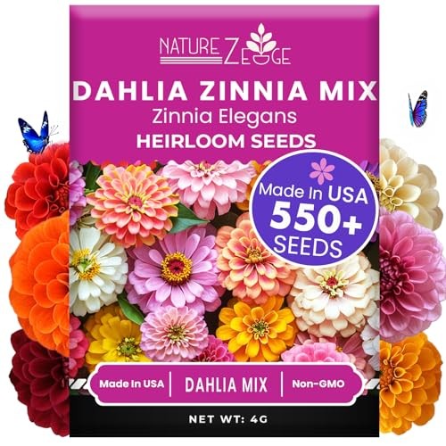 Zinnia Seeds for 2026 Planting Outdoors, Over 550 Dahlia Mix Multi Color