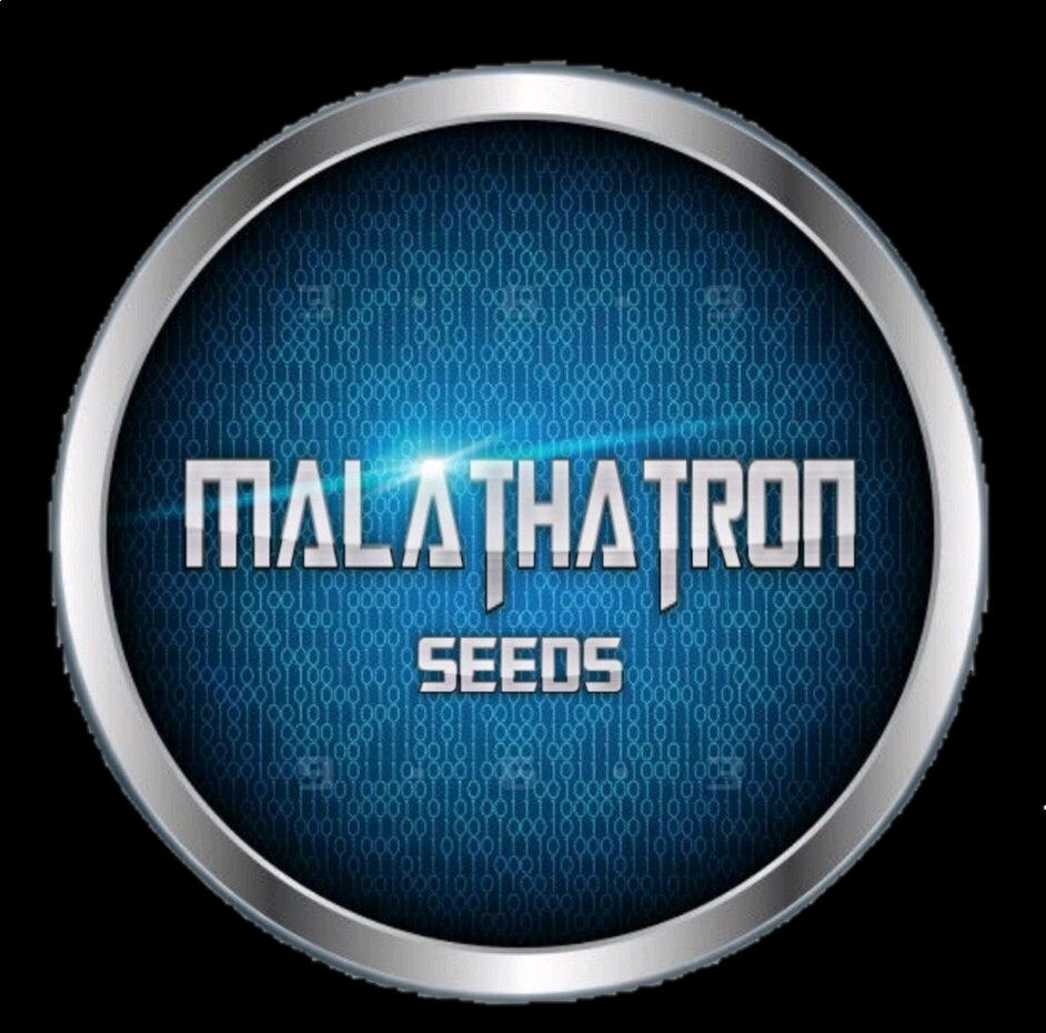 Humongous Hell Hot Heat Haul – 6 Superhot Varieties – Superhot! 120 Seeds Total!