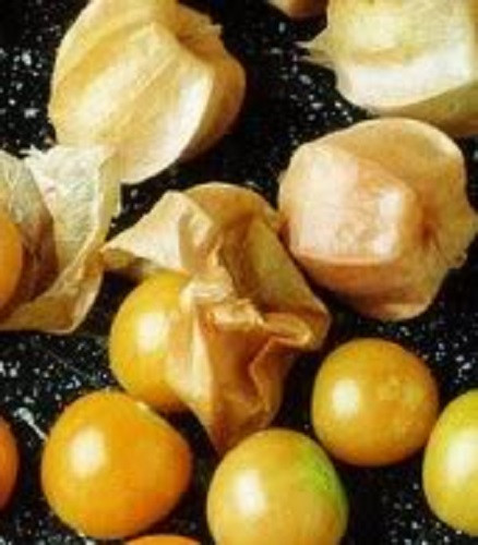 200 Organic GROUND CHERRY Physalis Pruinosa Golden Strawberry Vegetable Seeds