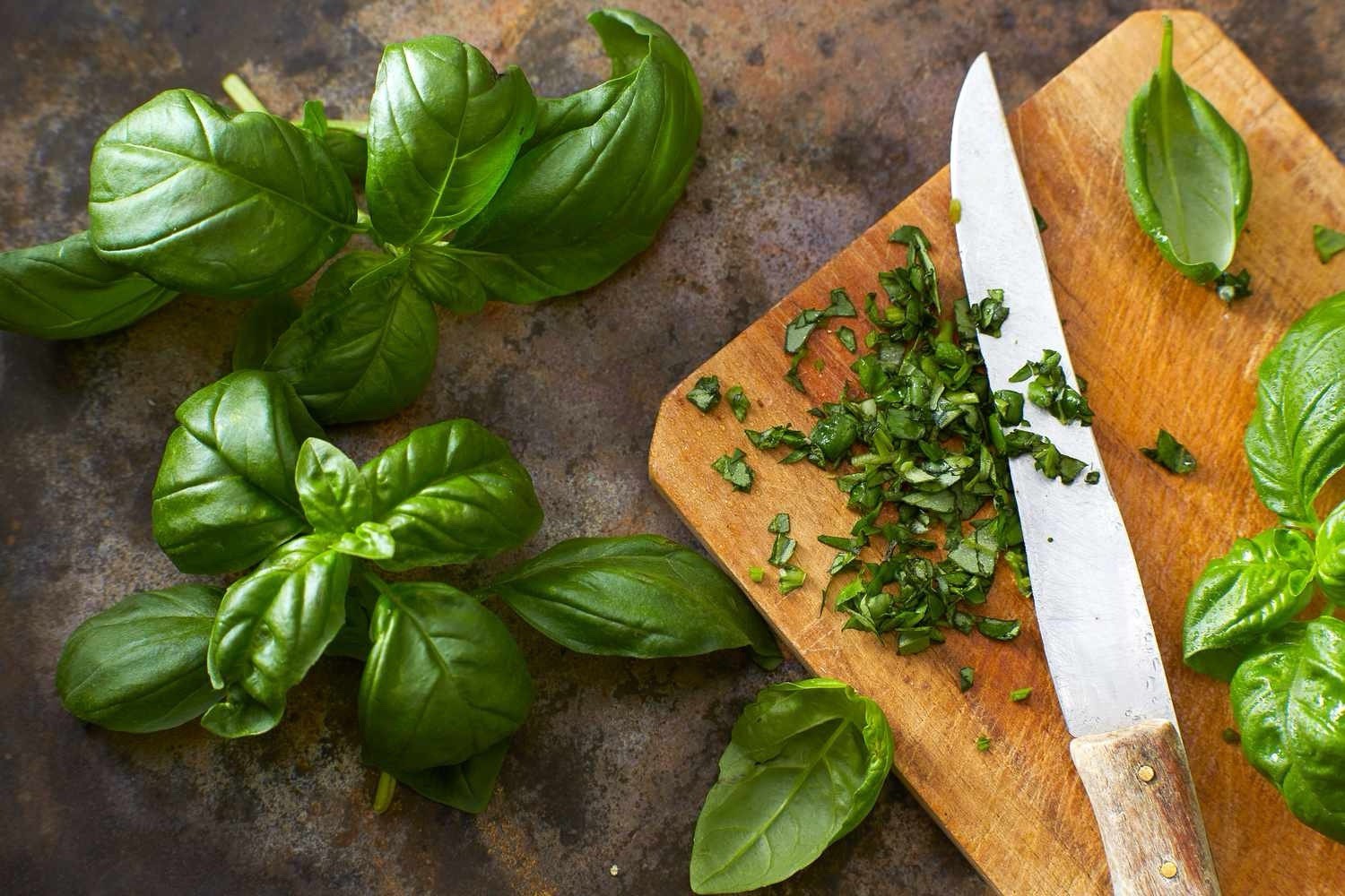 🎯Genovese Sweet Basil Seeds 100+ Italian Pesto Herb Garden Heirloom Non-GMO🇺🇸