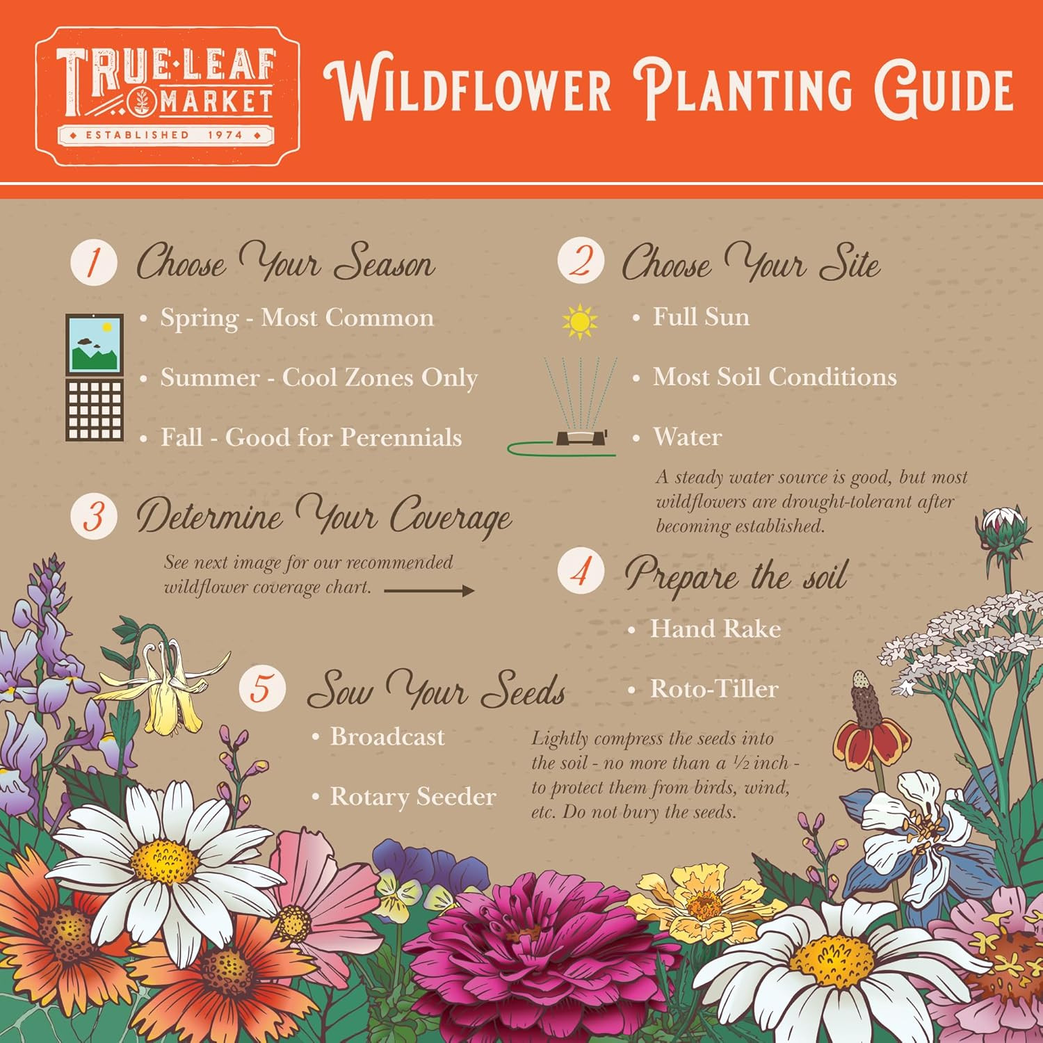 Wildflower Seeds Bulk, 2 Oz. 80,000+ Seeds – save the Bees Mix with 19 Non-Gmo V