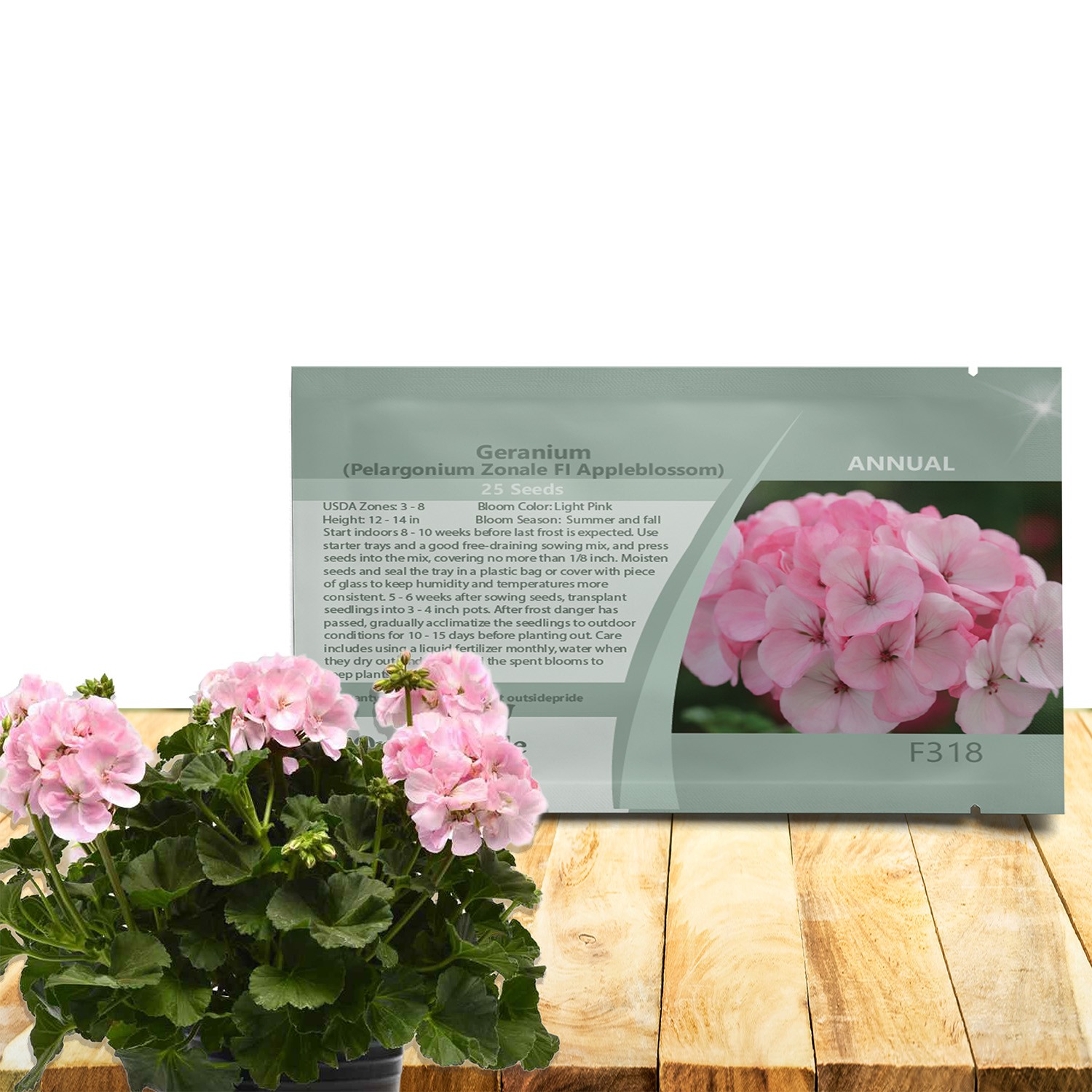50 Seeds Geranium Seeds Pelargonium Zonale Appleblossom Drought Tolerant