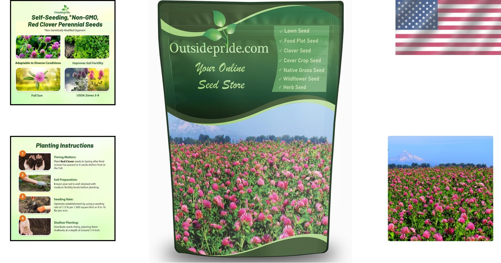 Inoculated Red Clover Seeds – 10 lbs. for Soil Improvement