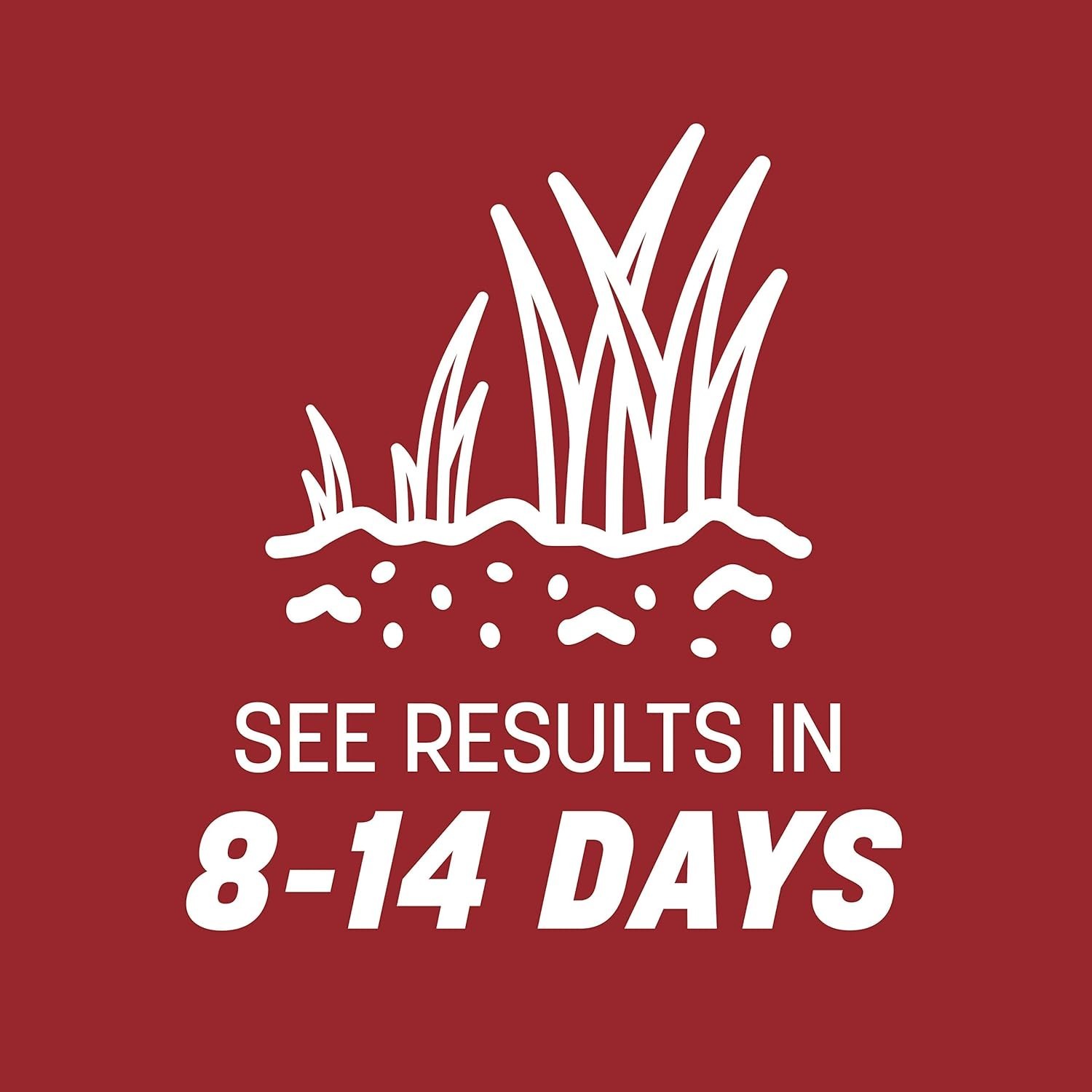 3 lb Smart Seed Perennial Ryegrass – Disease Resistant, Grows After
