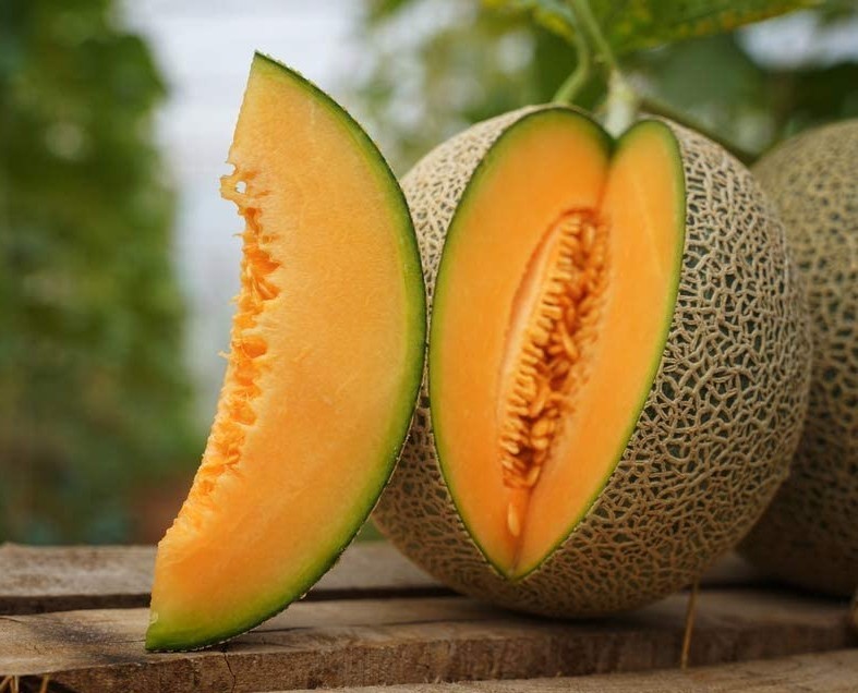 25 Premium Hearts of Gold | NON-GMO | Cantaloupe Seeds-B 36