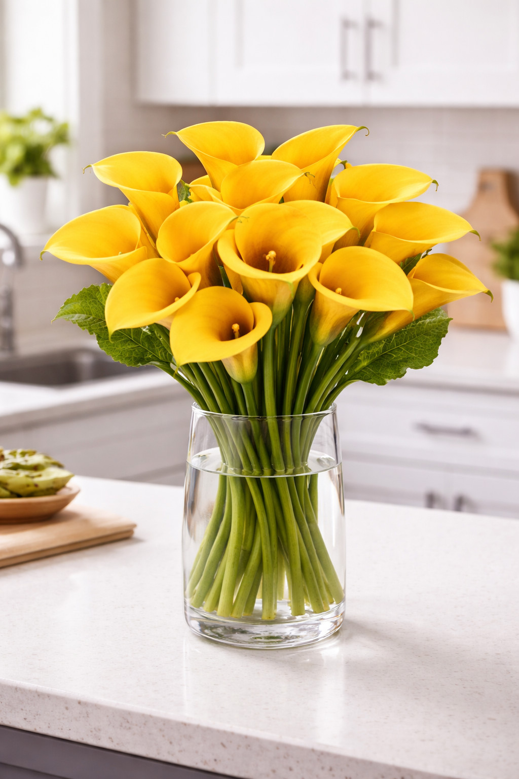 Florex Gold Calla Lily Bulbs for Planting – Yellow Trumpet Bulbs (5 Bulbs)