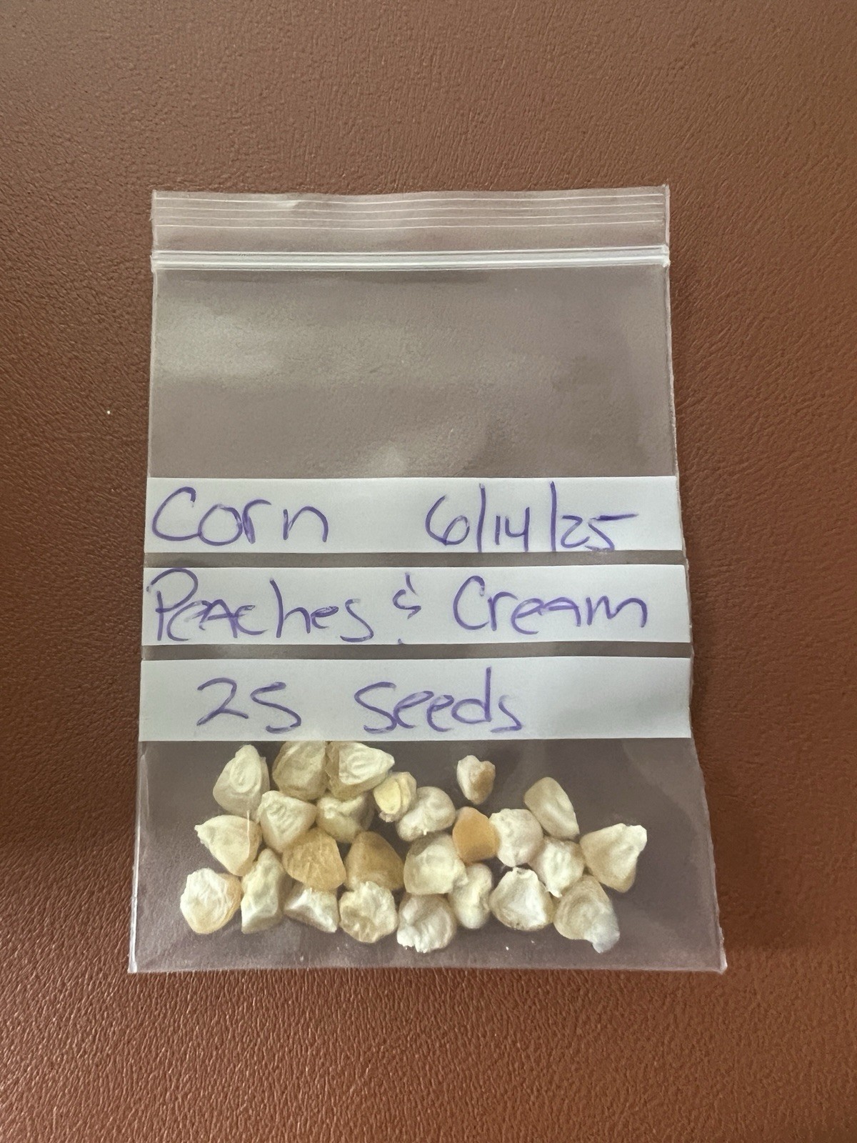 25 Peaches & Cream Corn Seeds – SWEET*** FRESH*** DELICIOUS*** packaged 6/14/25