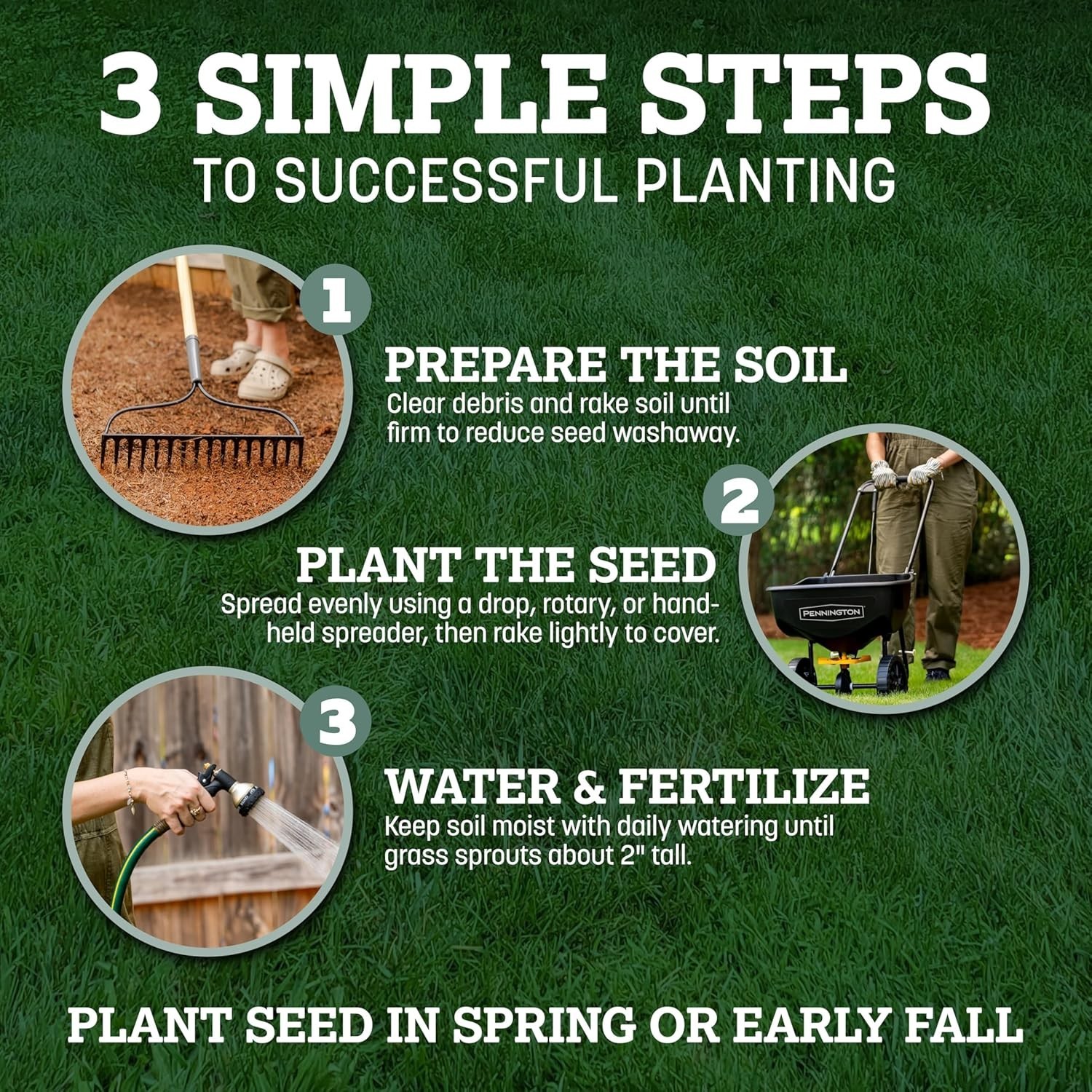 Create a Lush Kentucky 31 Fescue Lawn – 3 LB Grass Seed for Up to 4,000 sq. ft.