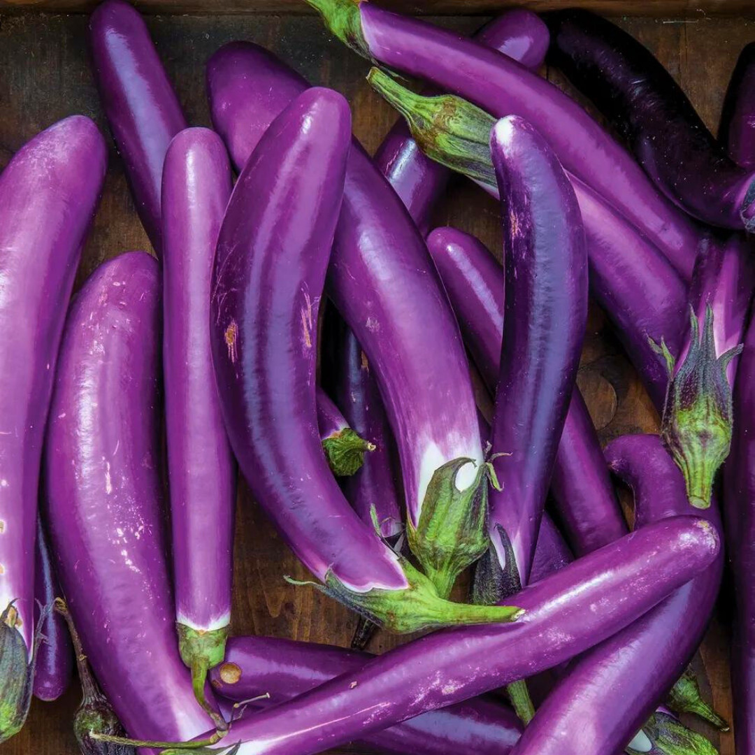 Fresh Chinese Eggplant Seeds | Ping Tung | Heirloom Non-GMO | Asian Vegetable