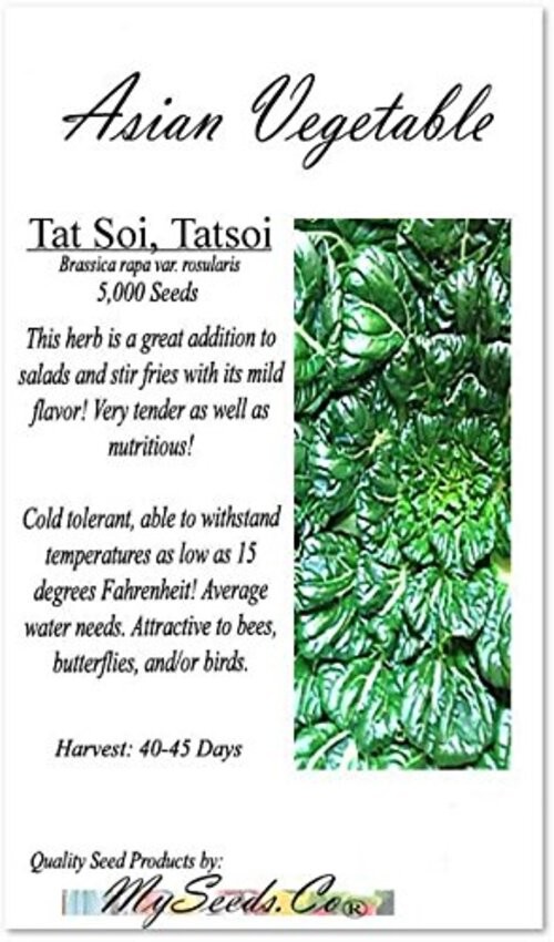 Big Pack – (5,000) Tat SOI Tatsoi Tah Tsai Spinach Seed – Chinese Vegetable –
