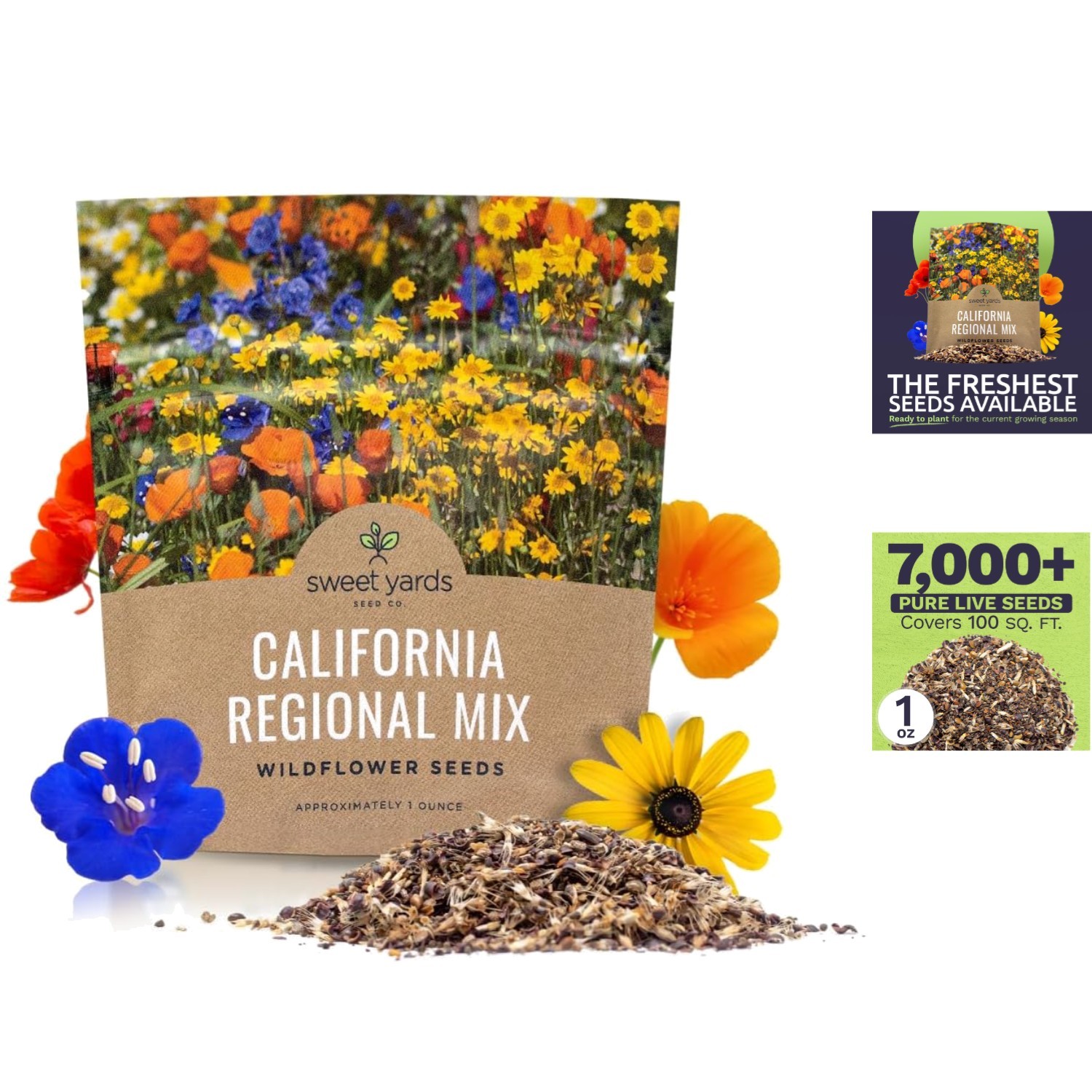 Biodiverse California Wildflower Seed Mix – 7,000 Seeds for Pollinator Gardens