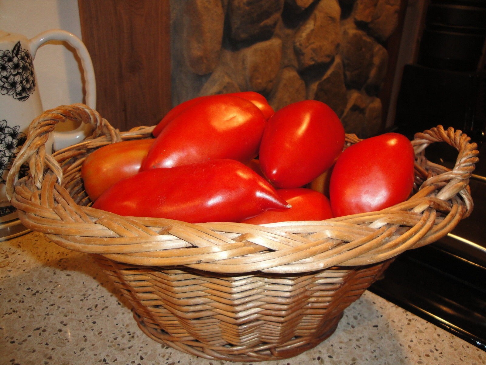 Red Tomato Opalka Polish Heirloom 25 seeds Non-GMO Organic from 2023