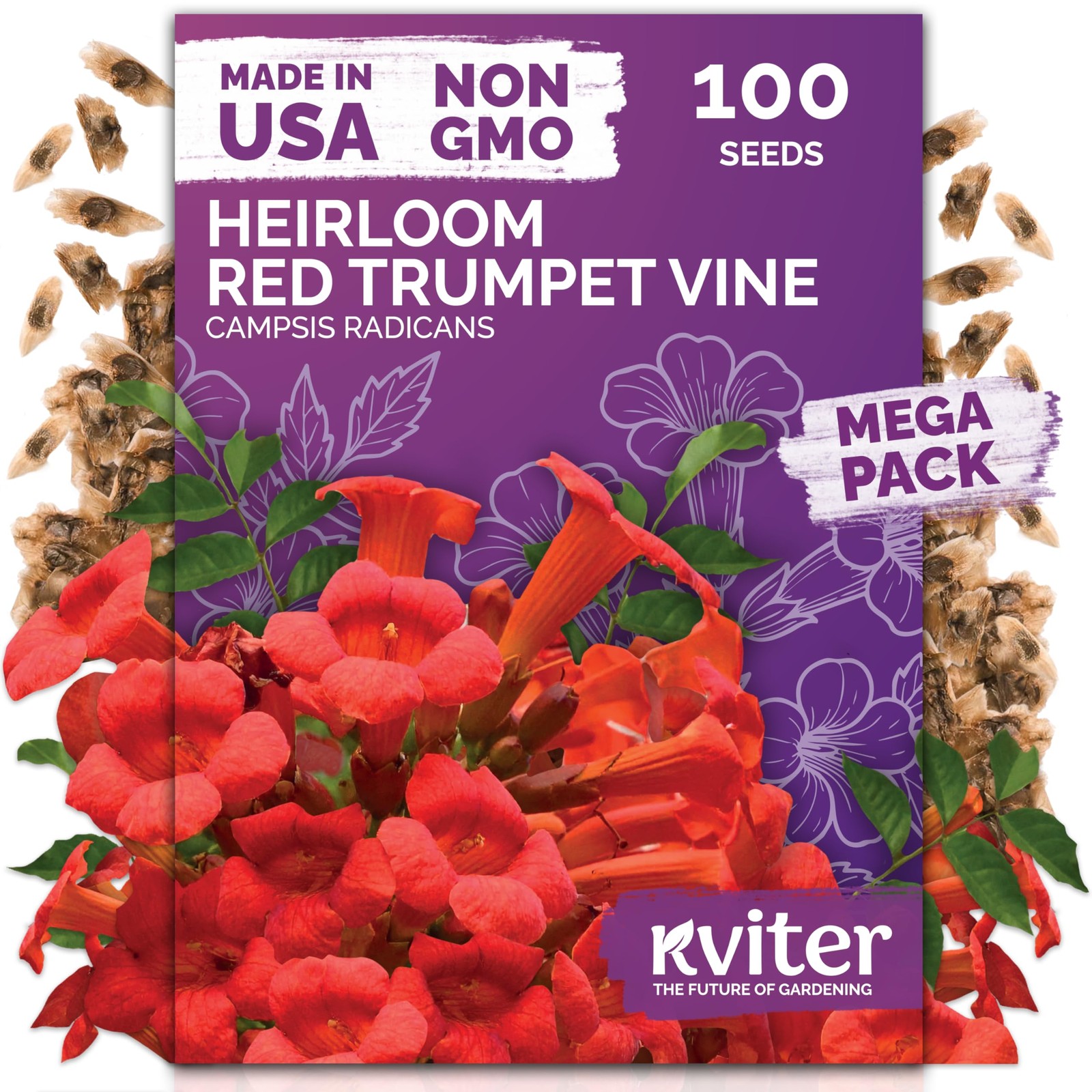 KVITER 100 Red Trumpet Vine Seeds for Planting (Campsis Radicans)