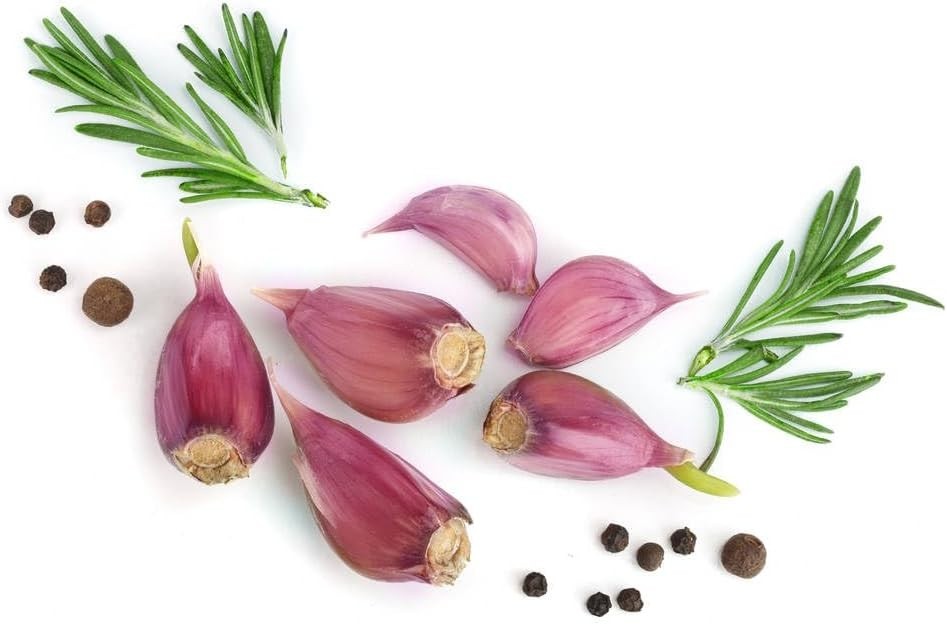 Garlic Seeds for Planting, 100 Organic Non-GMO Garlic Seeds for Planting Outd…