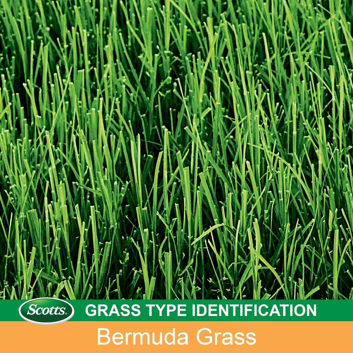 Scotts EZ Seed Bermudagrass Lawns 3.75 lbs.