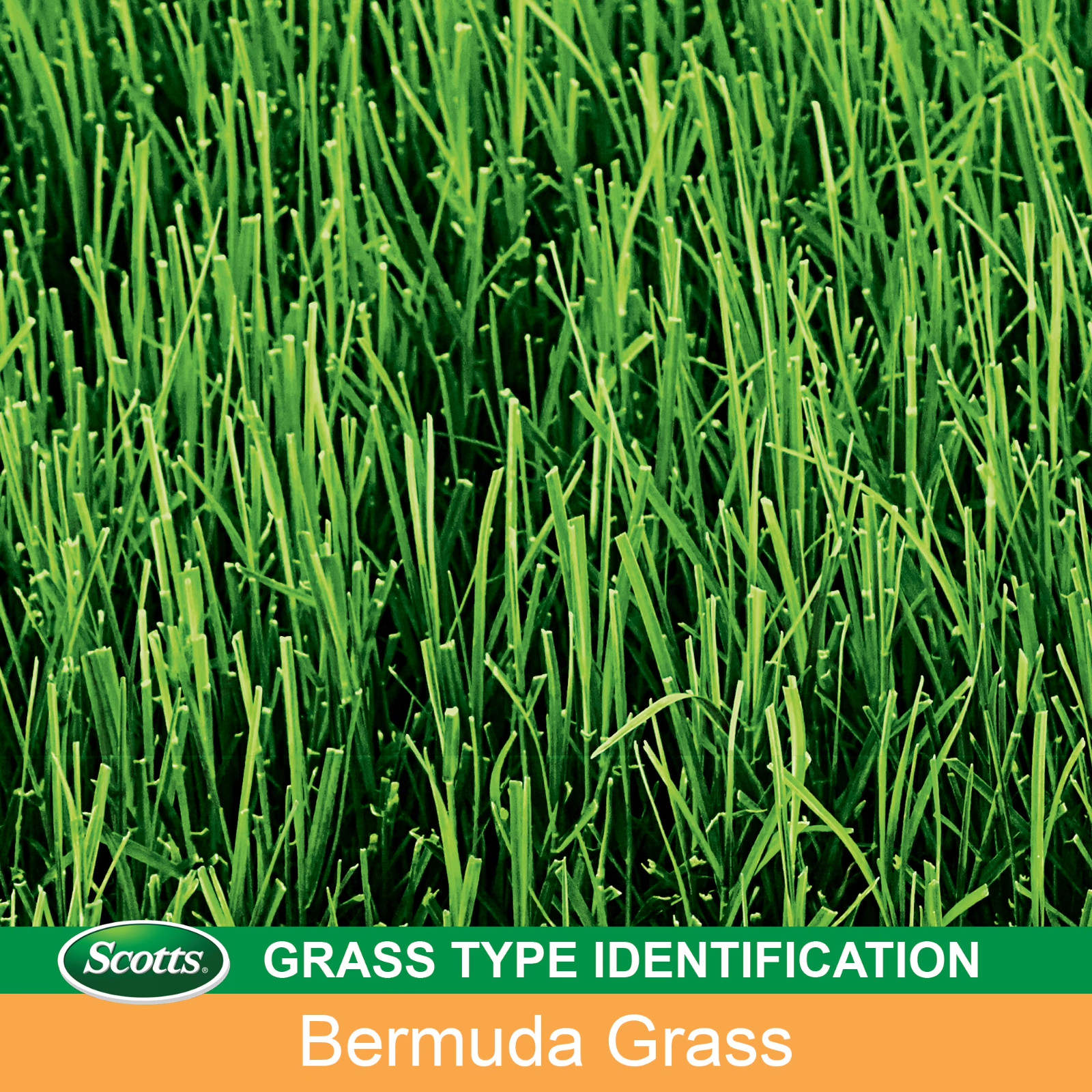 Scotts EZ Seed Bermudagrass Lawns 3.75 lbs.