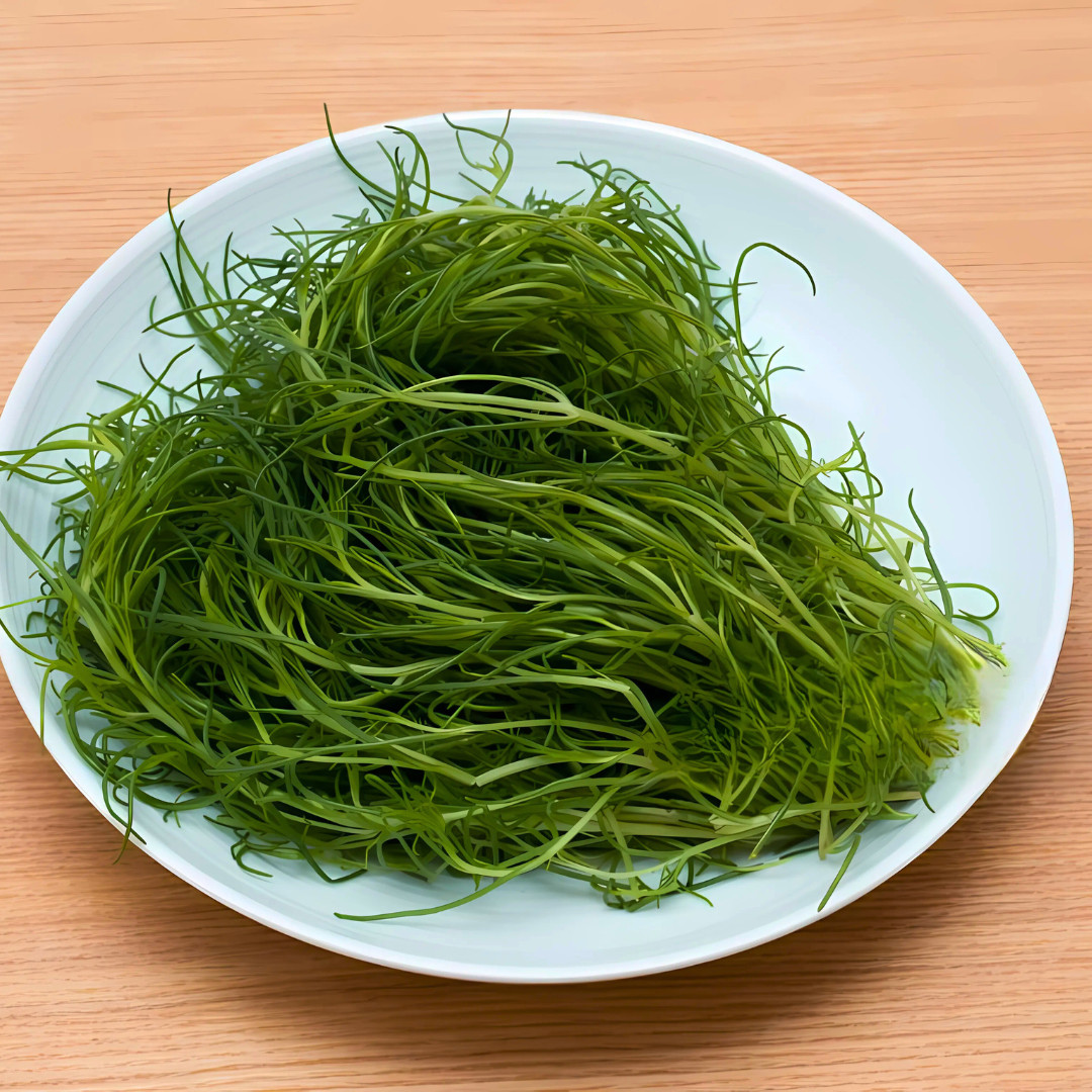 Fresh Oka Hijiki Seaweed Mustard Seeds | Heirloom Non-GMO | Asian Vegetable