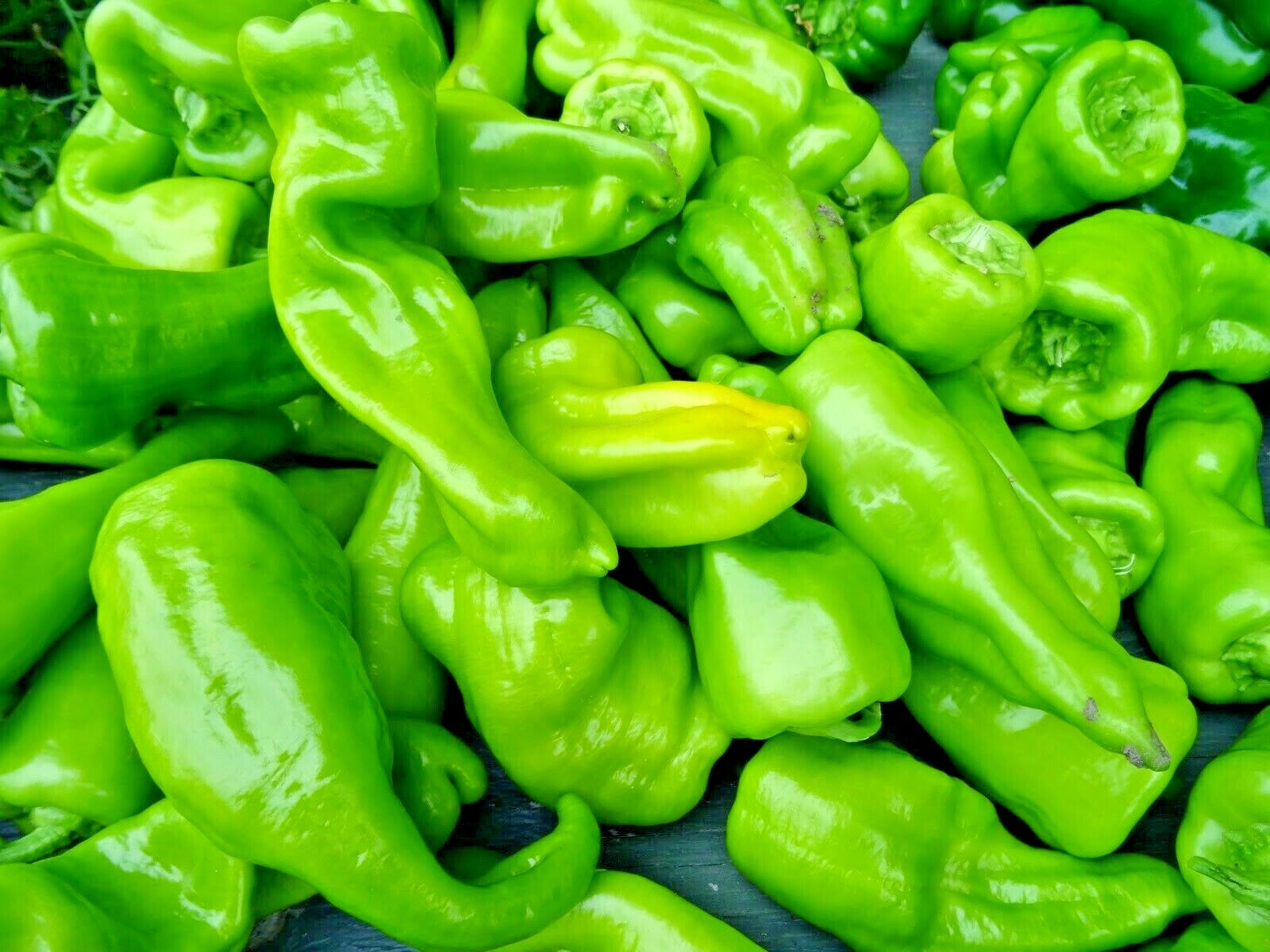 61+CUBANELLE Sweet PEPPER Seeds Organic Vegetable Garden Patio Container Easy