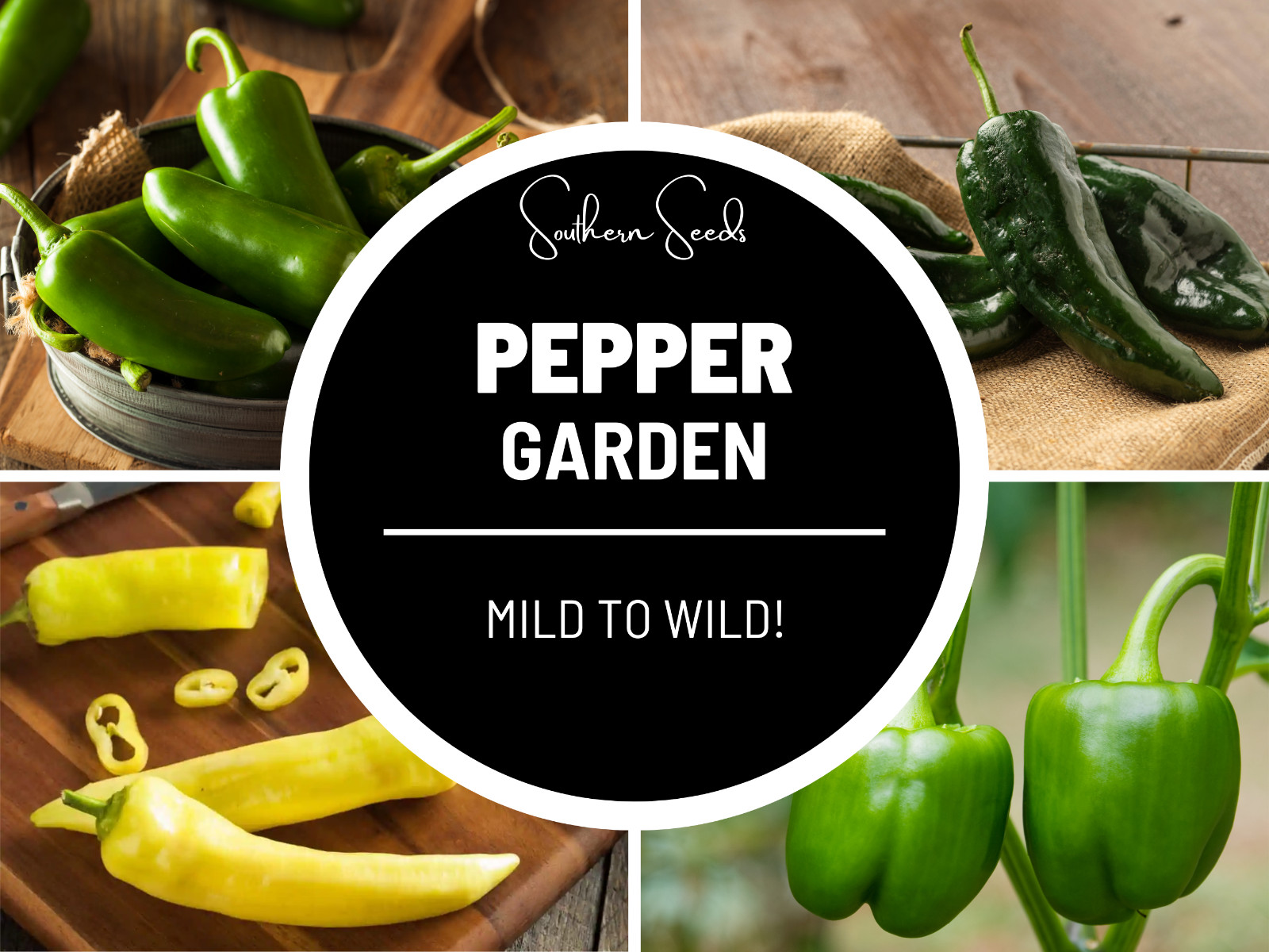 Pepper Seed Collection – 6 Essential Heirloom Peppers – Non-GMO