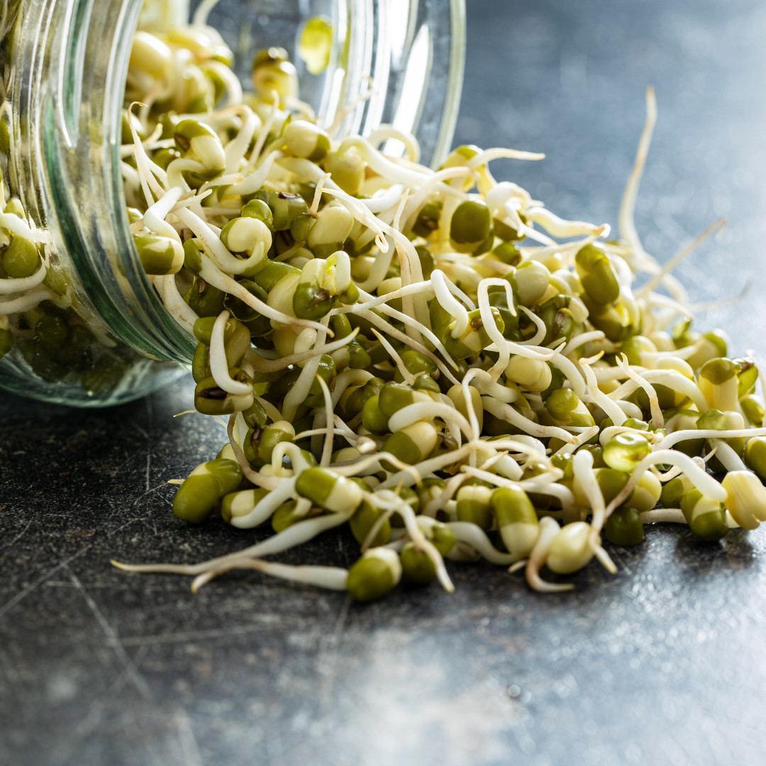 Fresh Green Gram Seeds | Moong | Mung Bean | Heirloom Non-GMO | Asian Vegetables