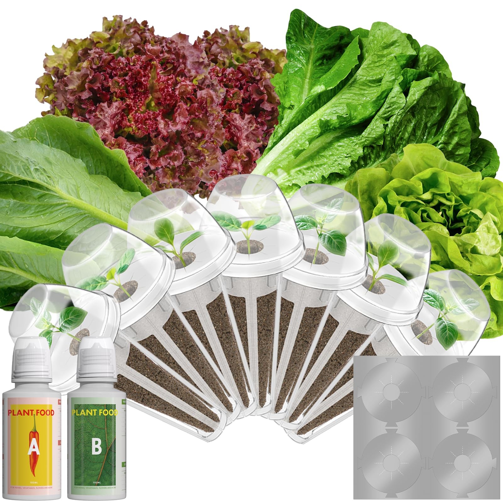 Red Romaine Lettuce Seed Pods for Hydroponics Indoor Garden, 400+ Seeds