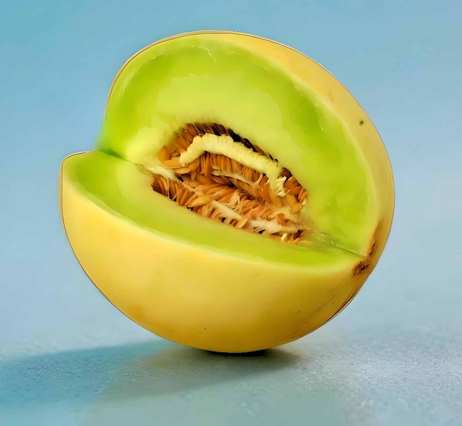 Honeydew Melon Seeds Box Garden Seeds LLC Heirloom Green Flesh GMO Free
