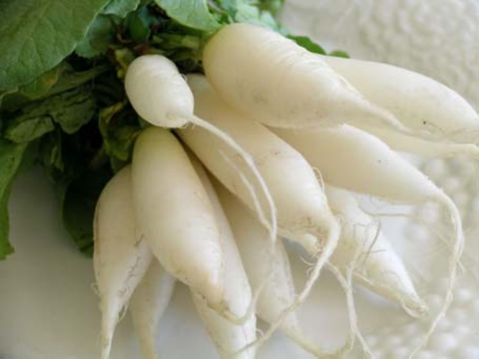 400+ Radish Seeds- White Icicle Heirloom 2021 $1.69 Max Shipping/order!