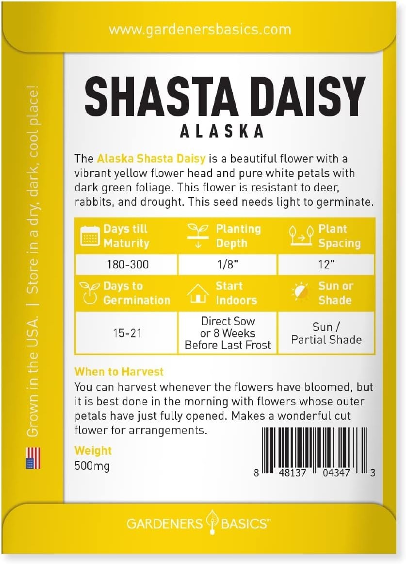 White Shasta Daisy Seeds Alaska Perennial Heirloom Non-GMO Garden Flowers