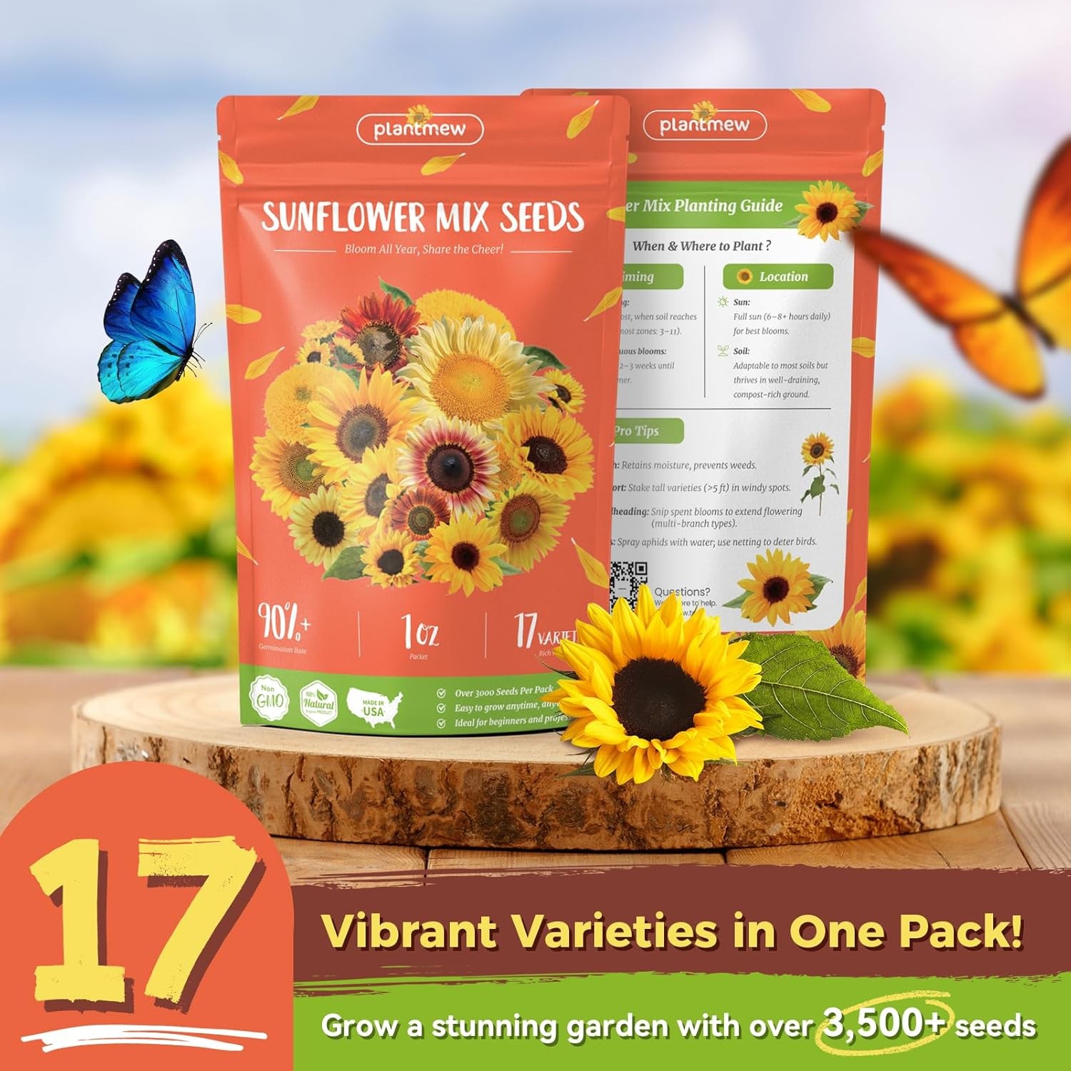 Sunflower Seeds for Planting | Giant Mammoth Sunflower Bulk Packet 3000+Heirloom