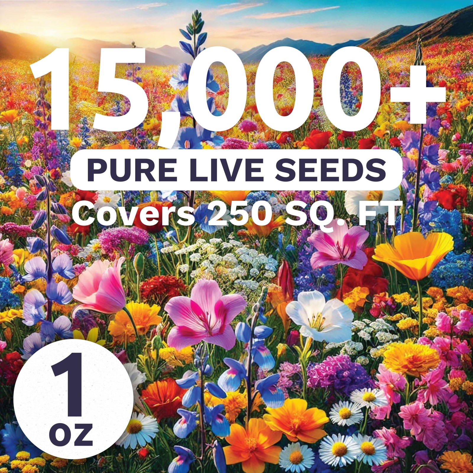 Large 1 oz Wildflower Seed Mix – 15,000 Flower Seeds for Planting