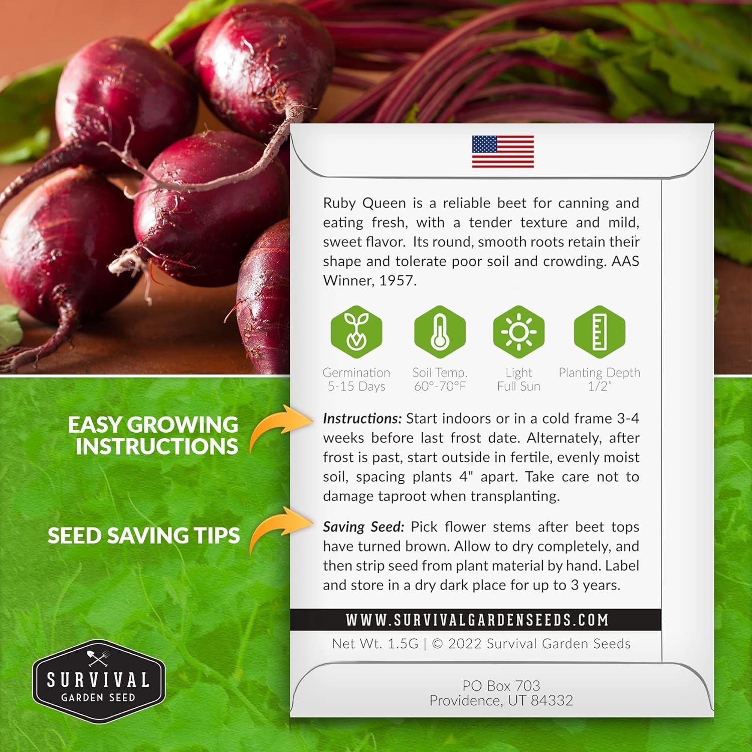 Heirloom Ruby Queen Beet Seeds – Compact, Disease Resistant, Gourmet Flavor