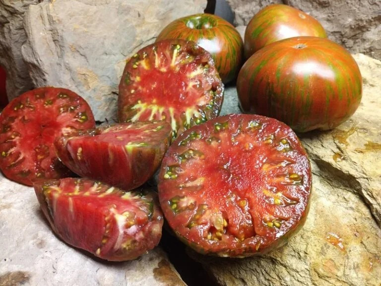 120+ CHOCOLATE STRIPE TOMATO SEEDS – HEIRLOOM – ORGANIC – NON GMO ——- RARE