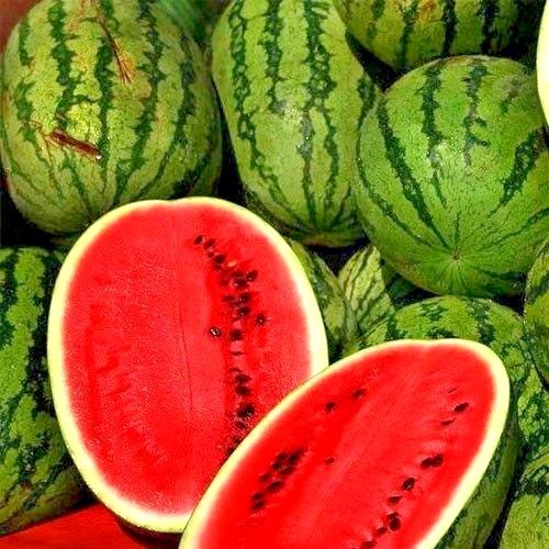 40+JUBILEE WATERMELON Seeds Heirloom Organic Vine 25-30lbs Summer Garden Easy