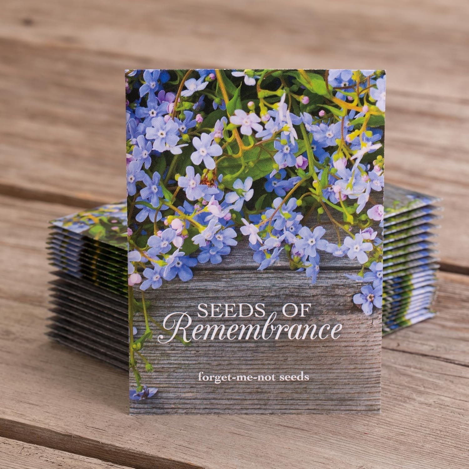 Grow Remembrance with 25 Non-GMO Forget Me Not Seed Packets – Indoor/Outdoor