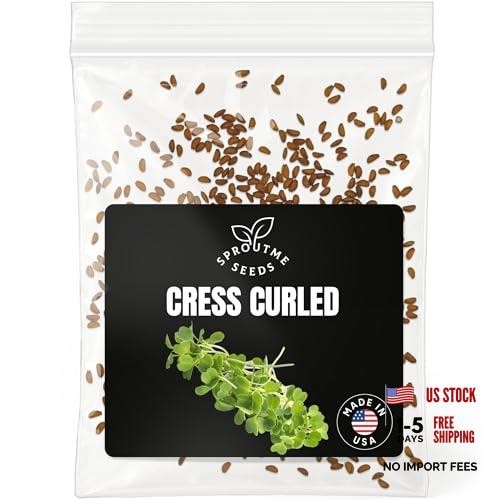 Seeds for Planting – 500+ Non-GMO Heirloom Fast-Growing Garden Cress Curled
