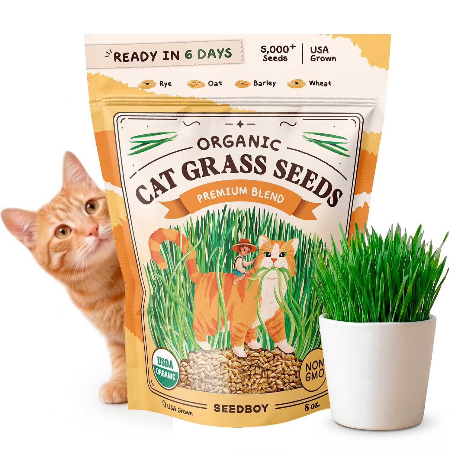 Organic Cat Grass Seeds Wheat Oat Rye Barley Indoor Cats 8 oz Healthy Digestion