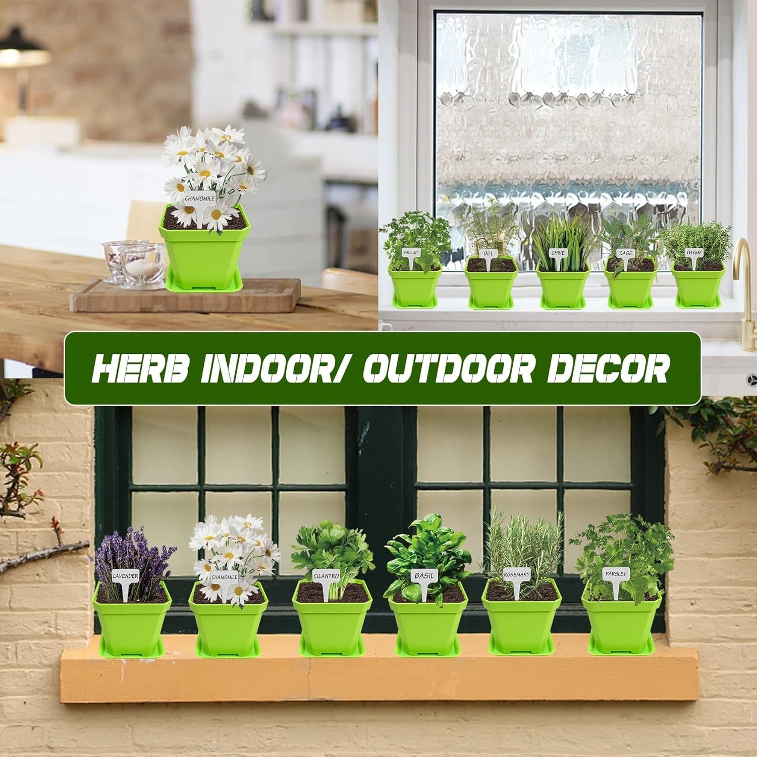 10 Herb Seeds Garden Starter Grow Kit with Green Pots, Markers, Nutritional S…