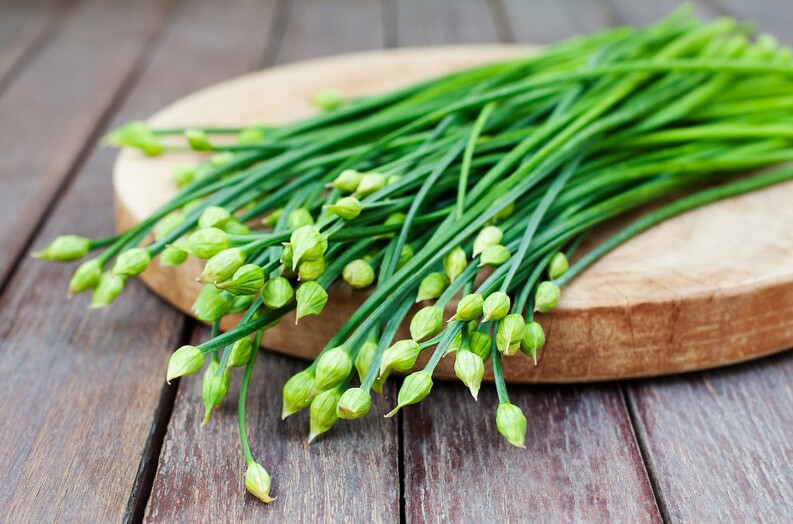 1 Gr (300 Seeds) Garlic Chives Flower Seeds for Plating, Leek Flowering Seeds