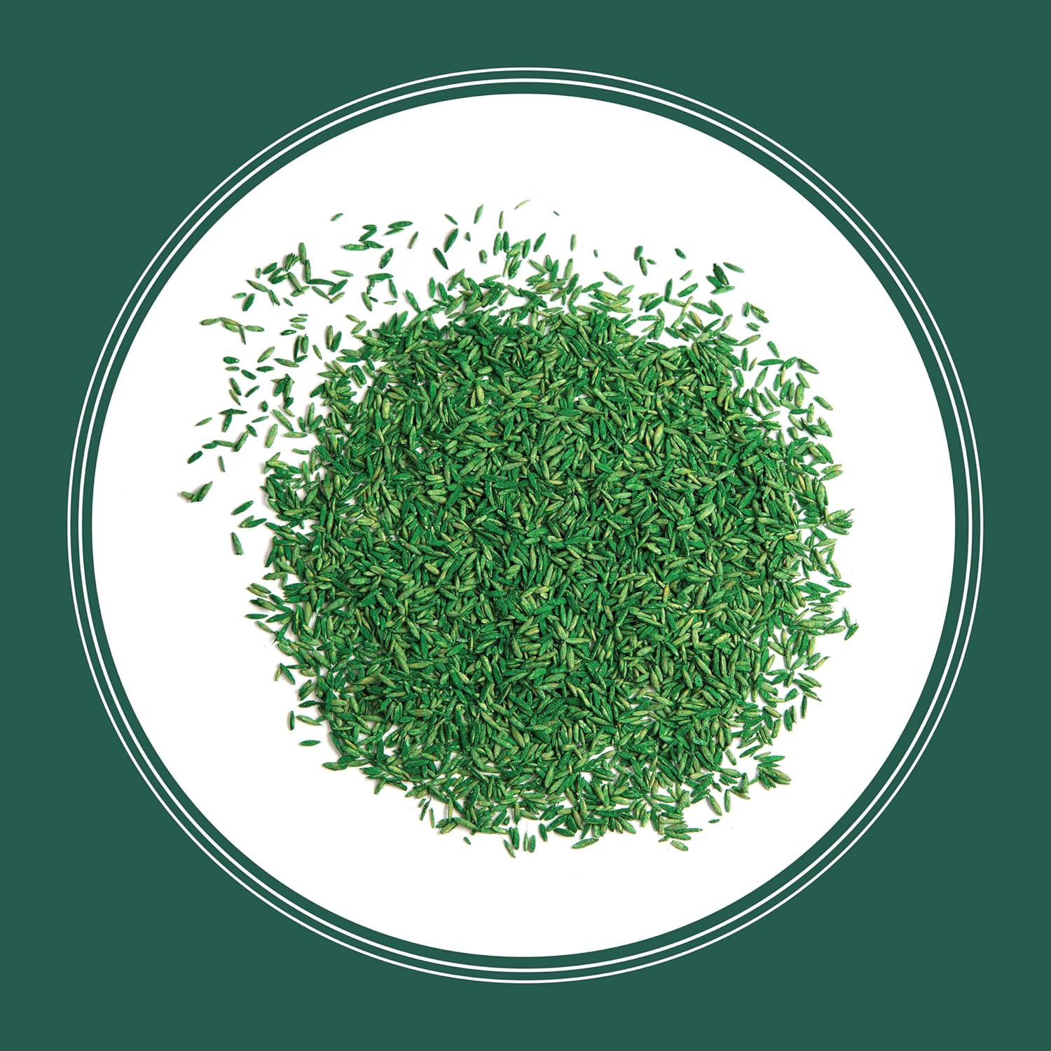 Smart Seed Sun and Shade Grass Mix 3 lb