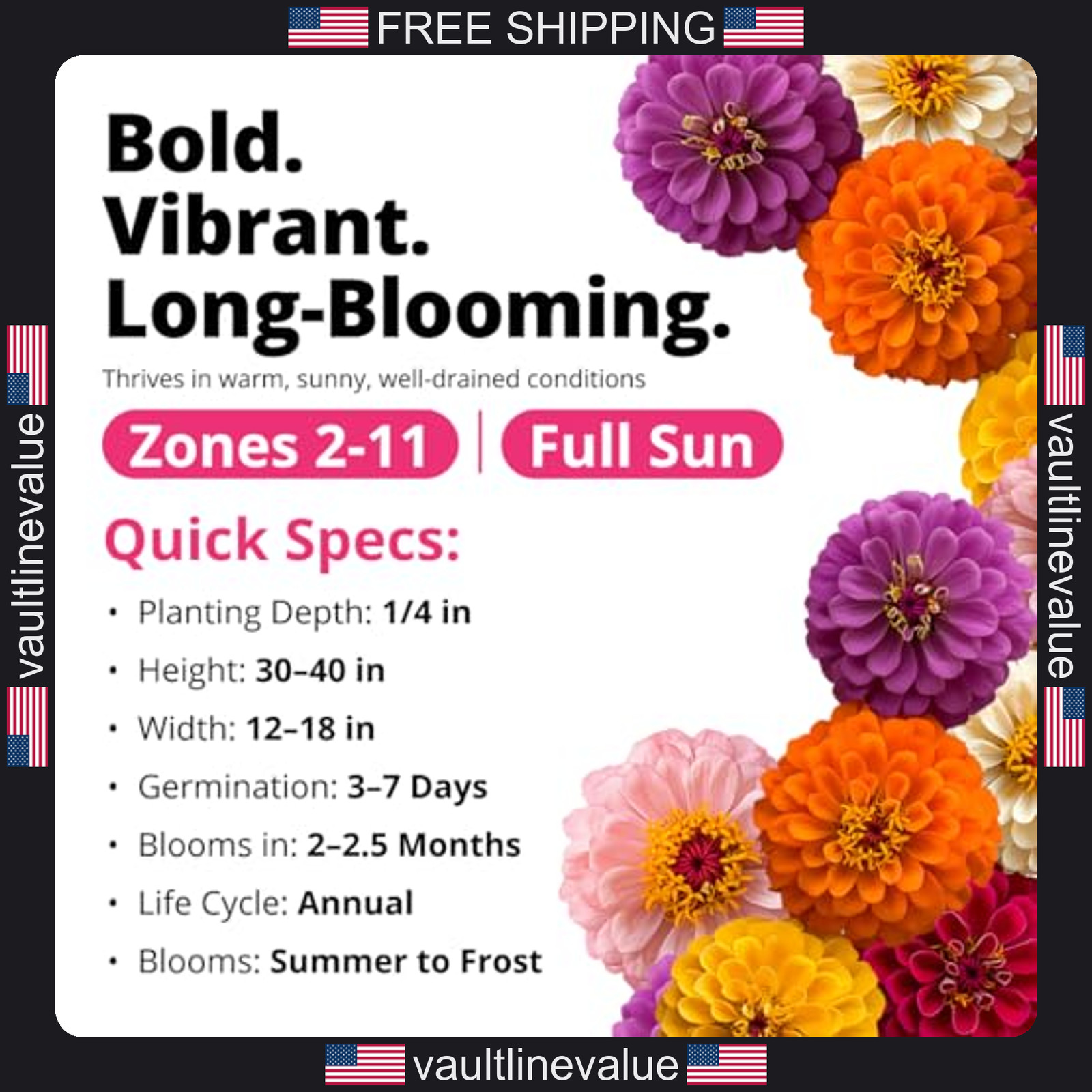 Home Grown Zinnia Dahlia Seeds Pack 524 Non GMO Flower Seeds for Gardens