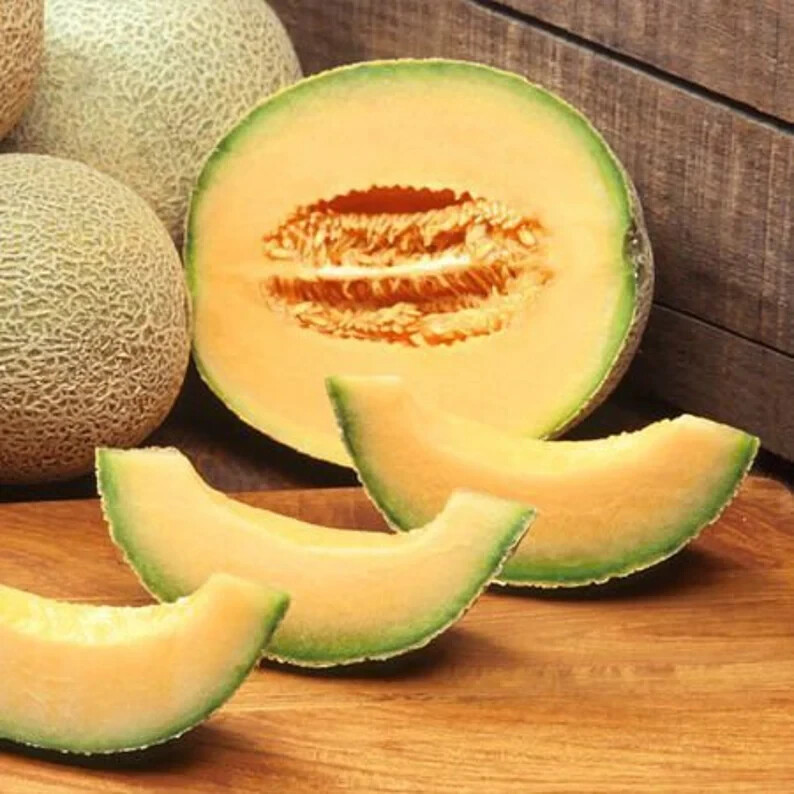 50 Planters Jumbo Cantaloupe Seeds. Organic. USA Seeds. Ships free