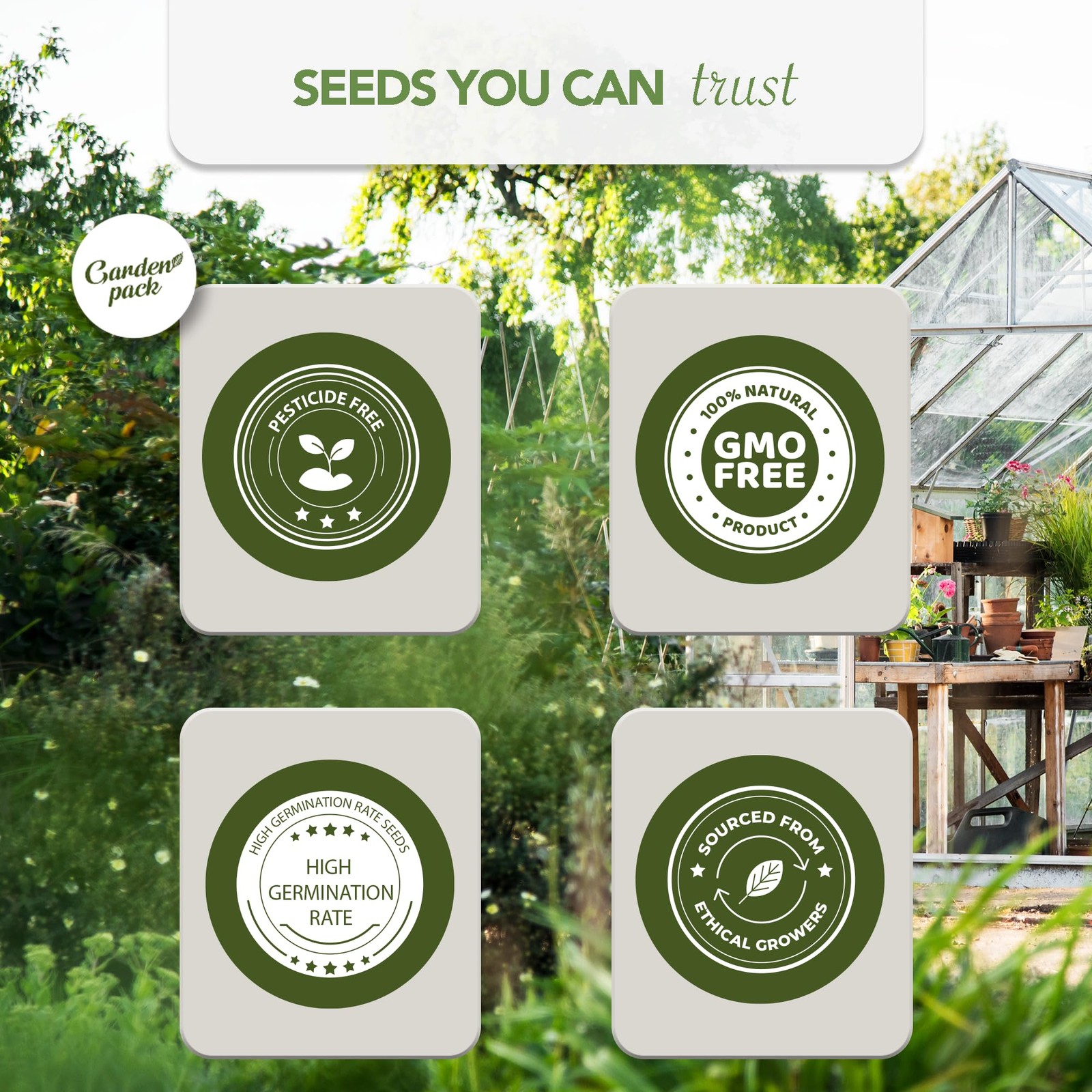 Vegetable Seeds Pouch – 50 Varieties of Vegetable, Herb & Flower Seeds for Pl…